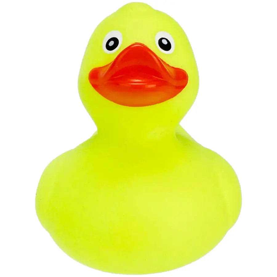 Rubber Duck Turtle Toy Medium N722