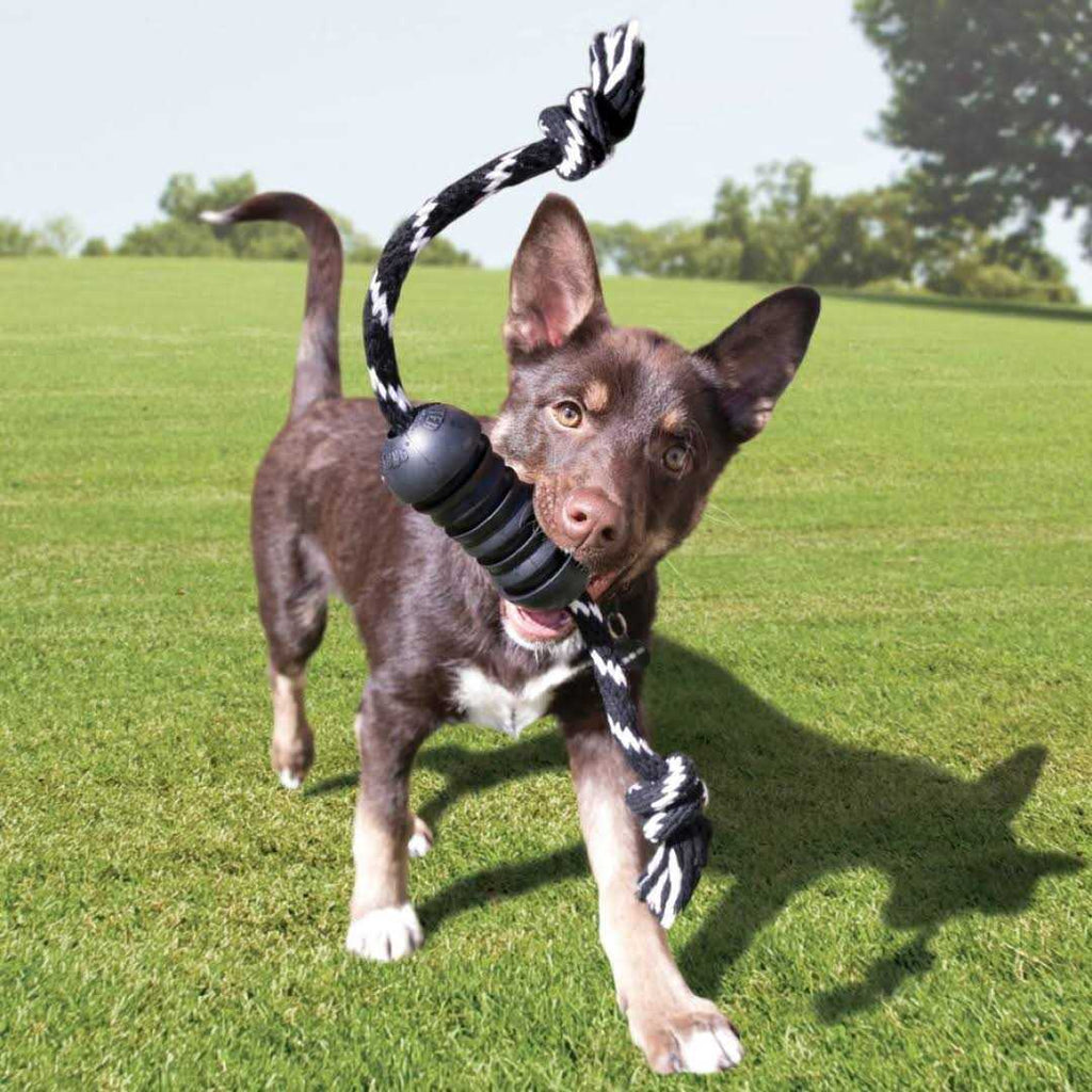 Dog Toy S8616
