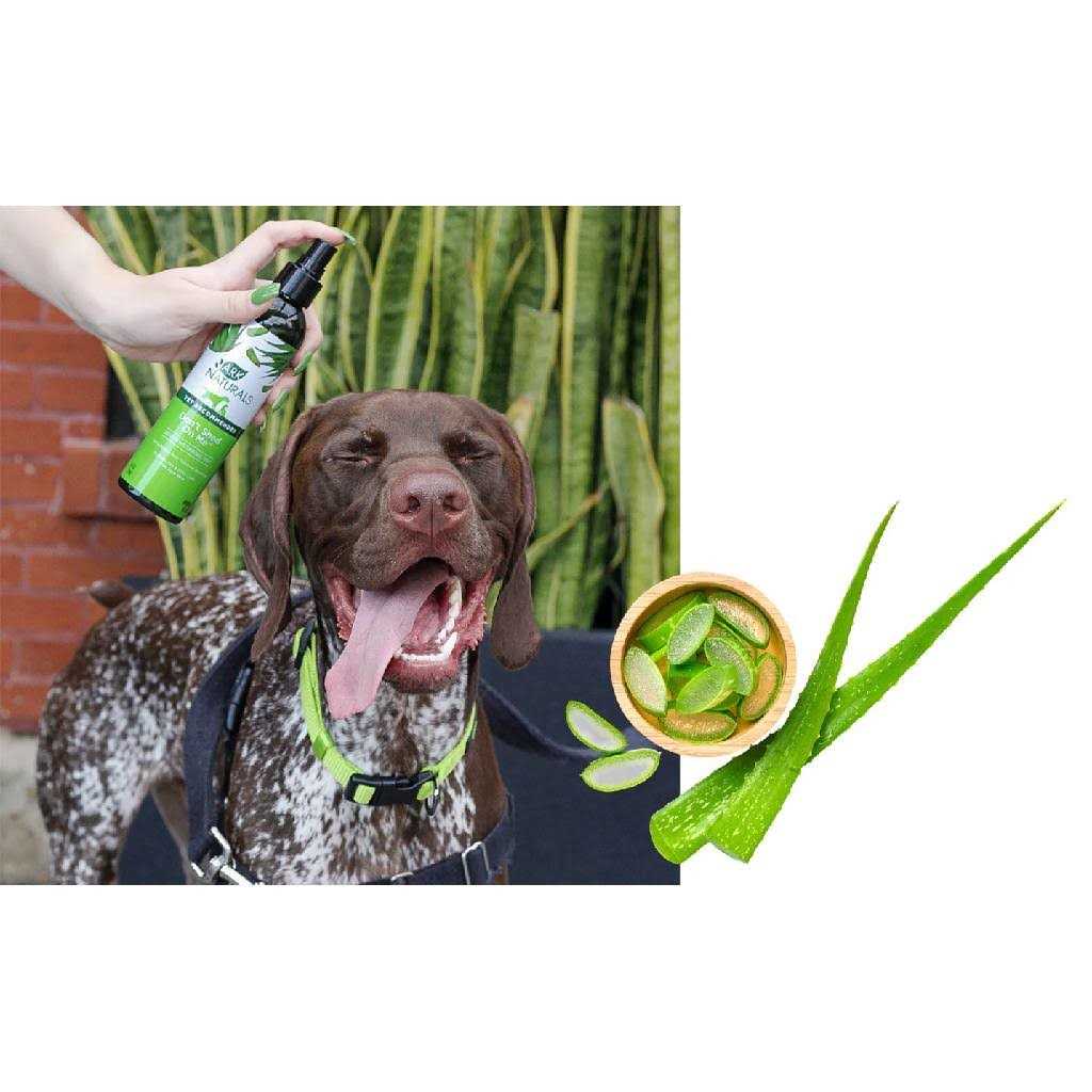 Pet Supplies N475268