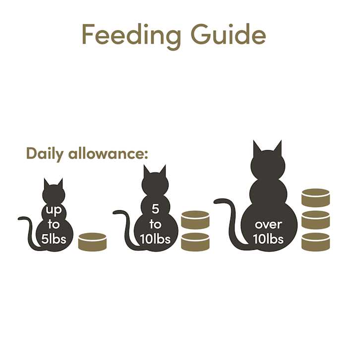 Cat Wet Food in Broth Variety Pack S4944