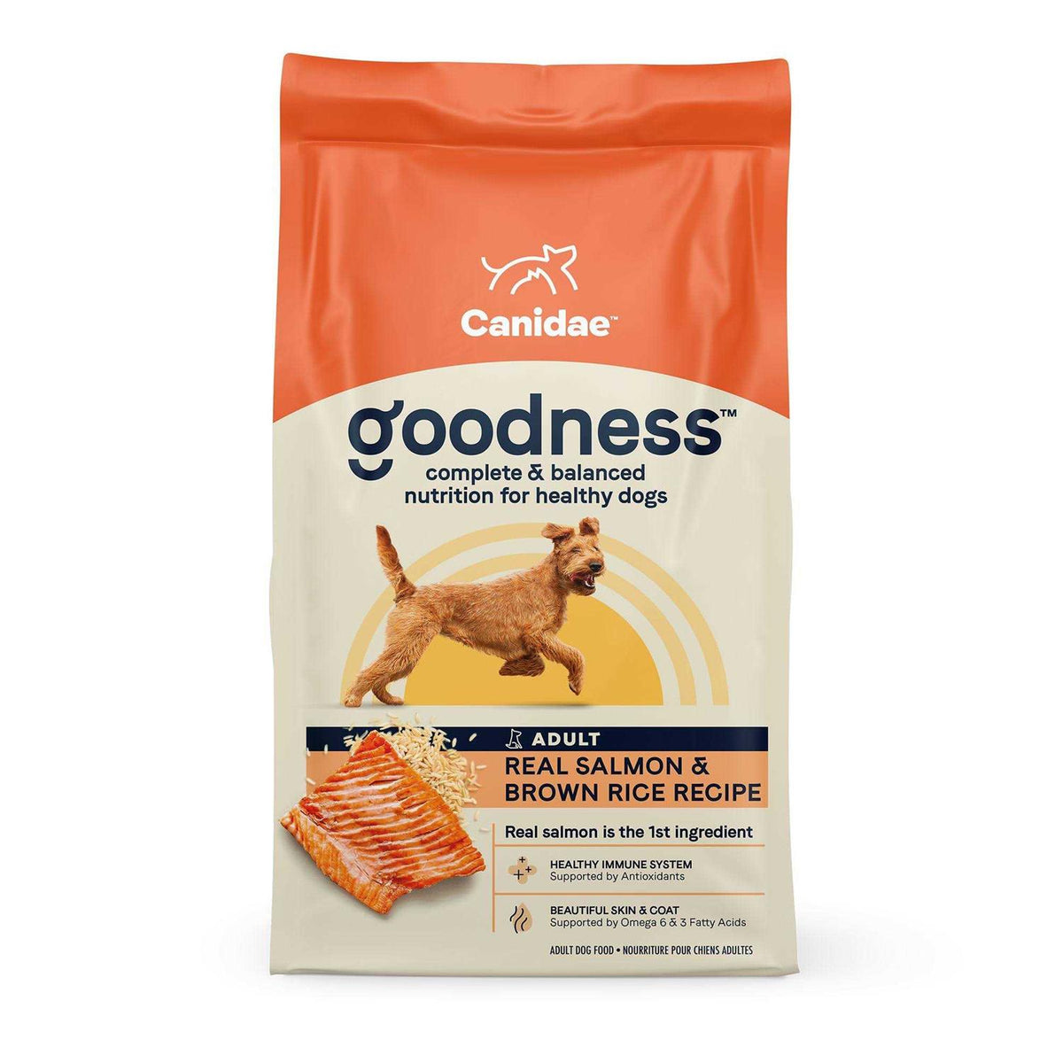 Salmon & Brown Rice Dry Dog Food Q4365