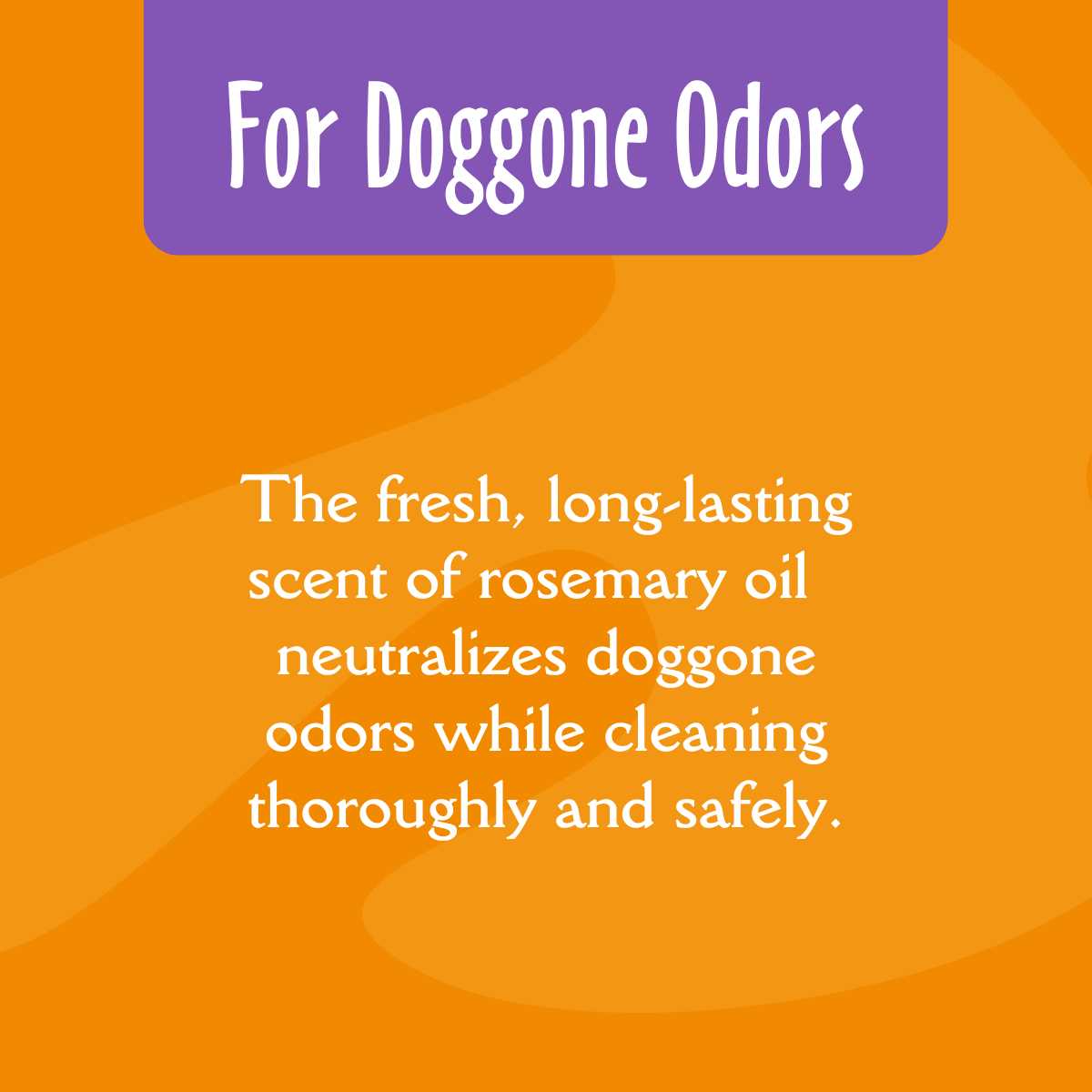 Deodorizing Shampoo D889