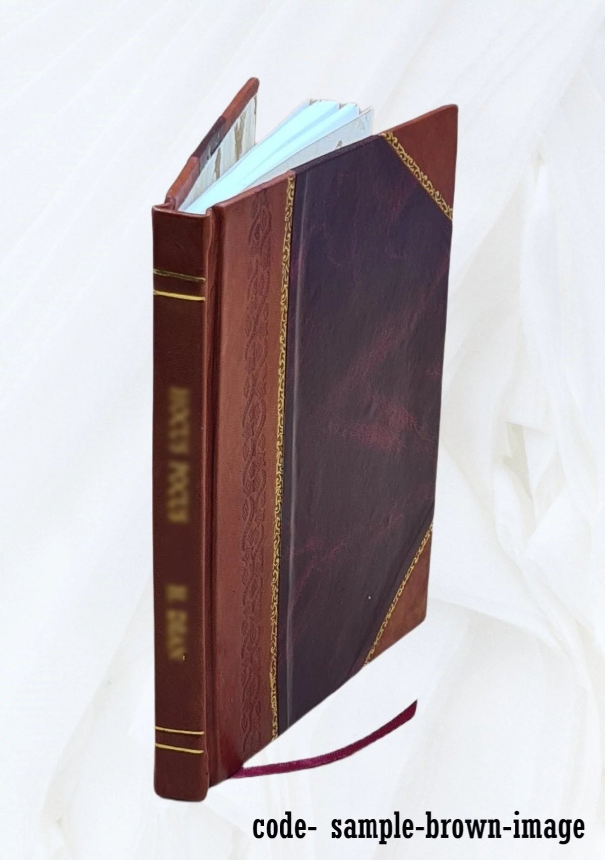 Microscope appliqué à l'étude de la minéralogie et de la pétrographie Leather Bound J684771
