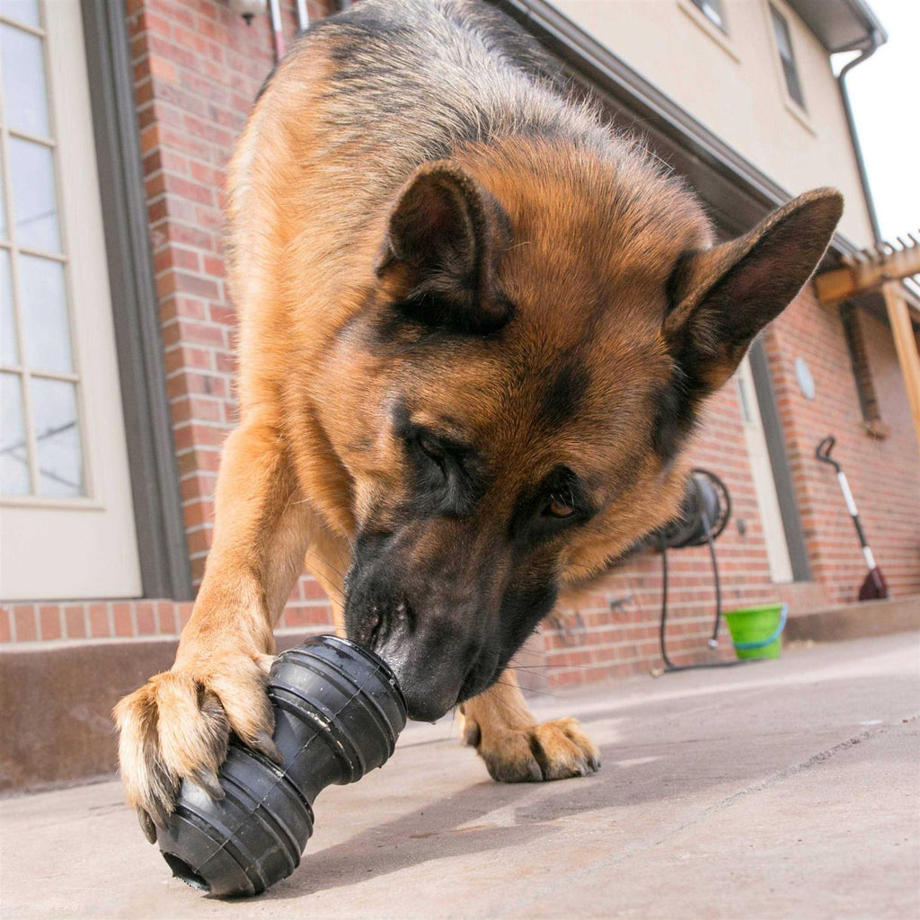 Dog Toy S8616