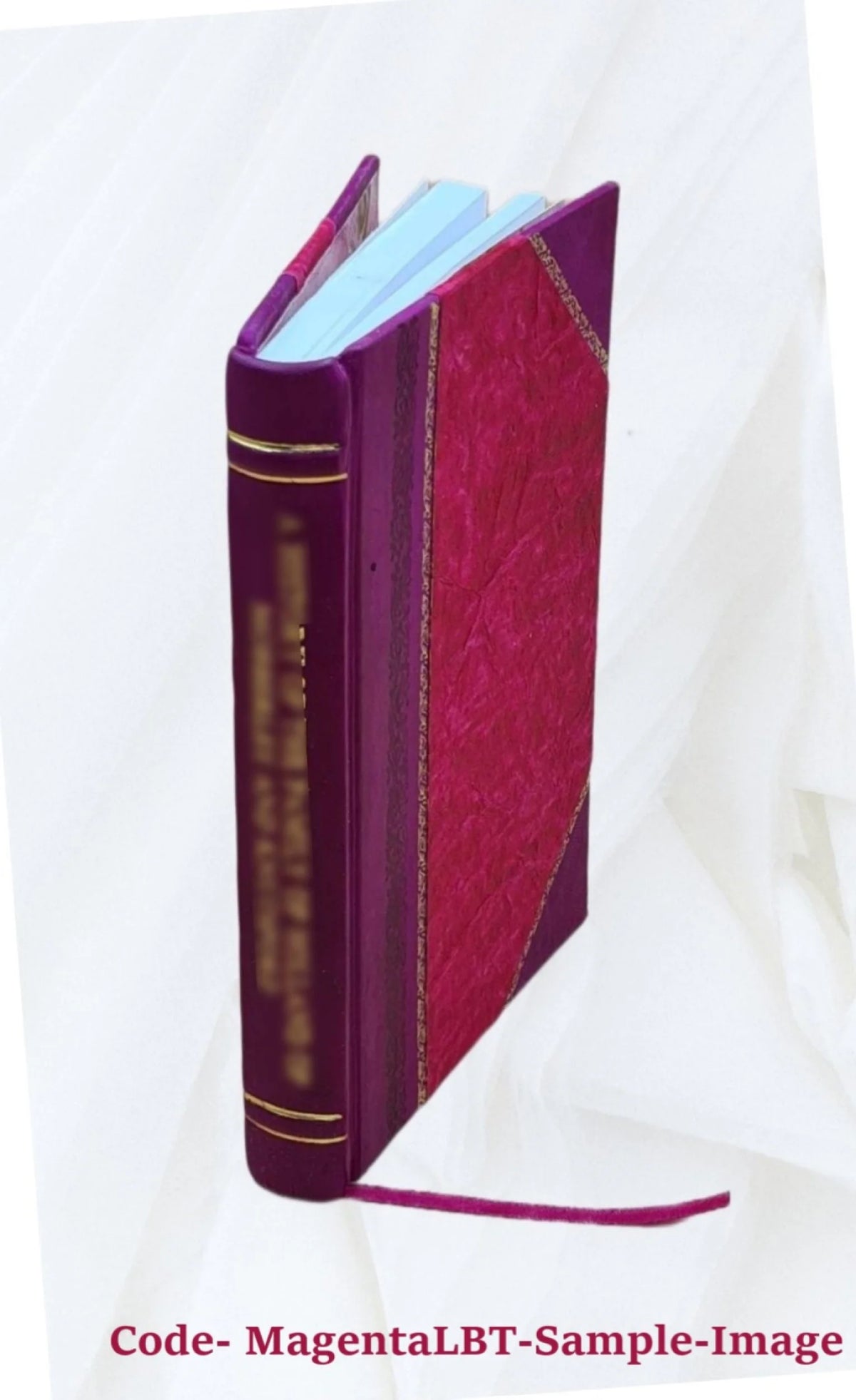 Microscope appliqué à l'étude de la minéralogie et de la pétrographie Leather Bound J684771
