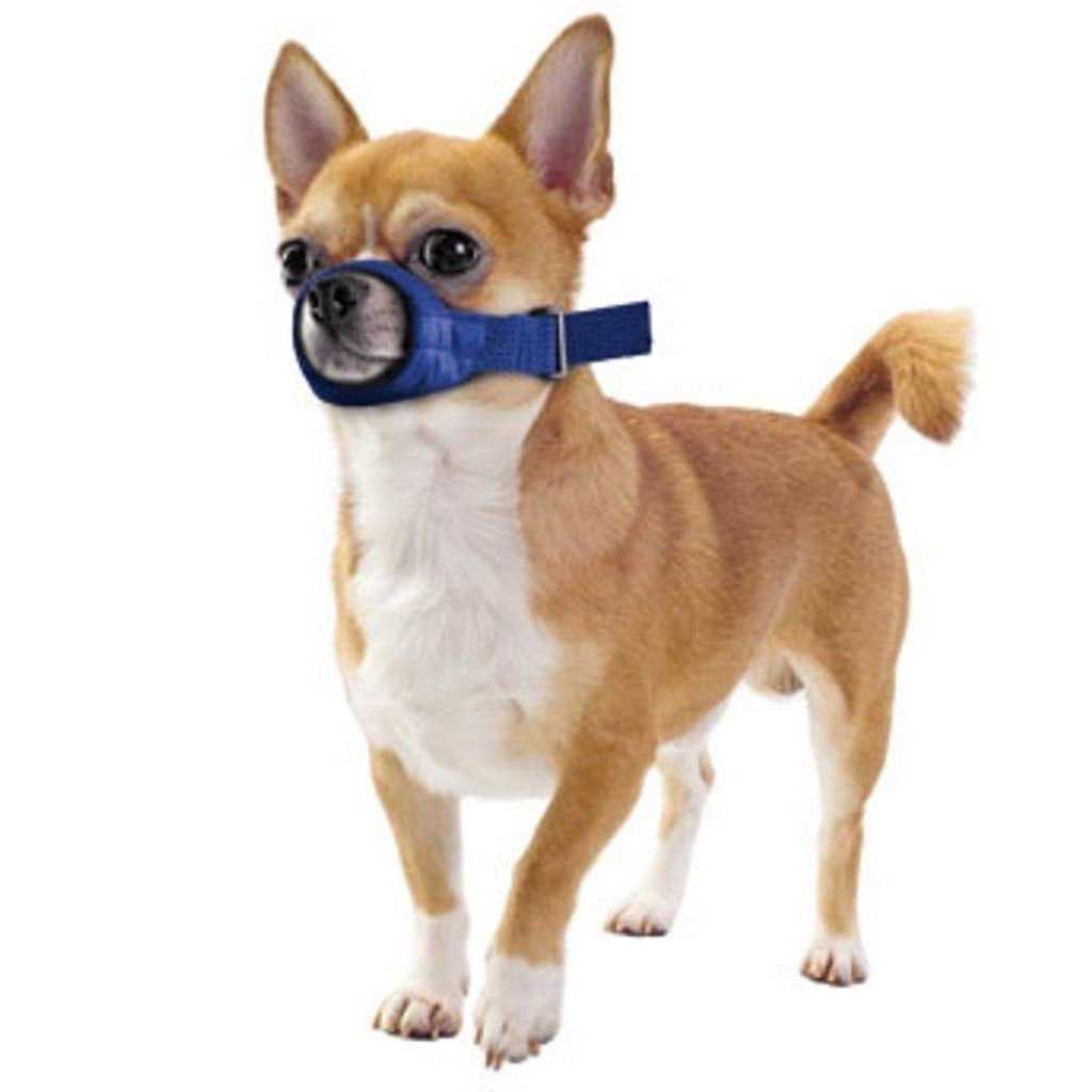Quick Muzzle Xxs L29562